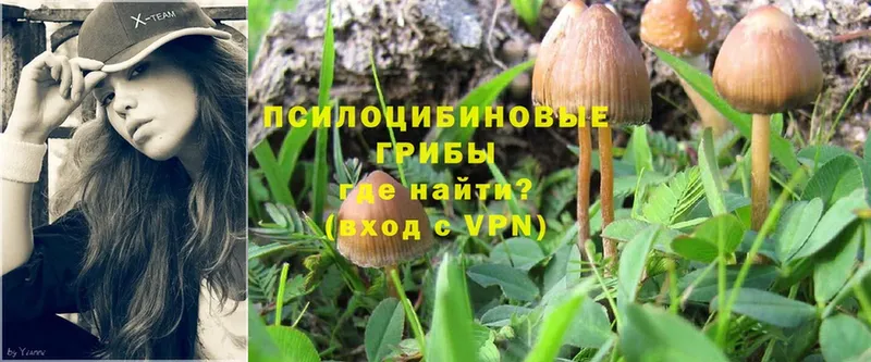 Галлюциногенные грибы Psilocybine cubensis  где найти наркотики  Ясногорск 